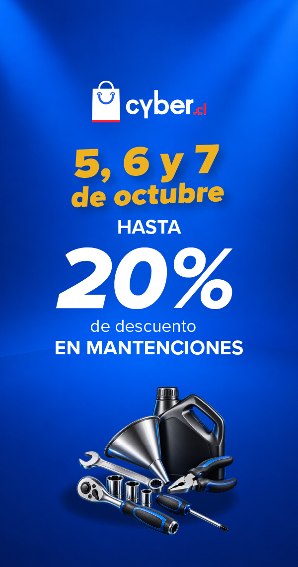 Cyber Mantenciones